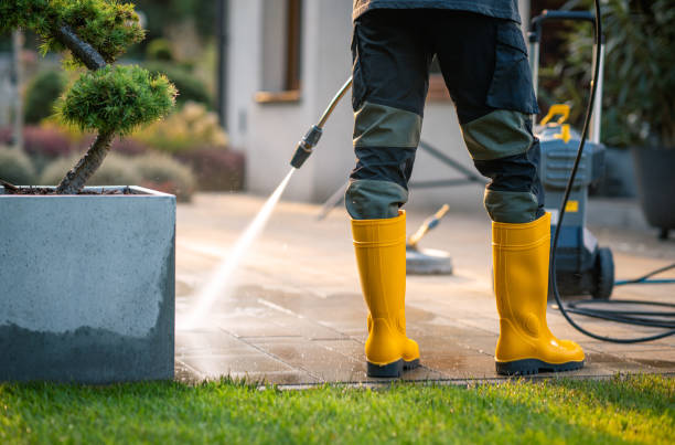 Best House Pressure Washing  in Monticello, FL